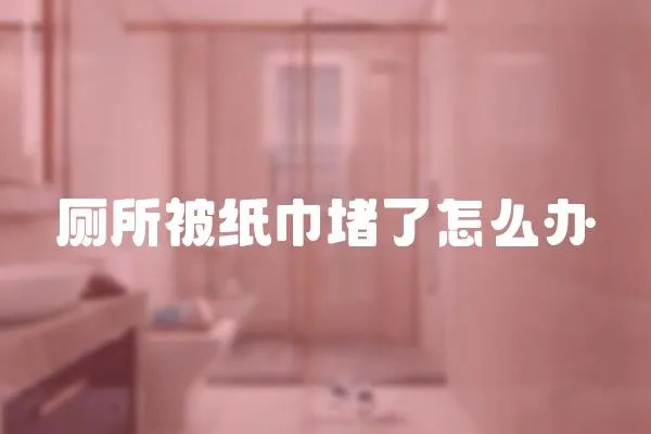 廁所被紙巾堵了怎么辦