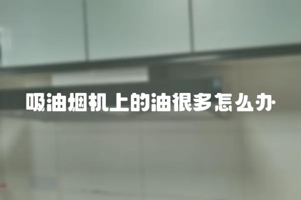 吸油煙機上的油很多怎么辦