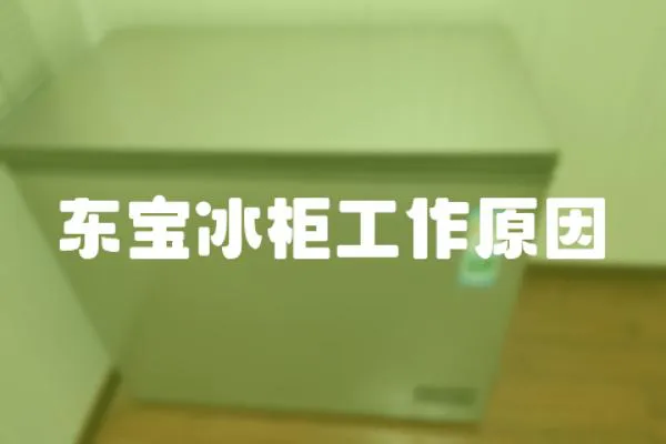 東寶冰柜工作原因
