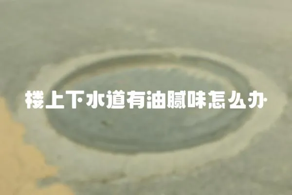 樓上下水道有油膩味怎么辦