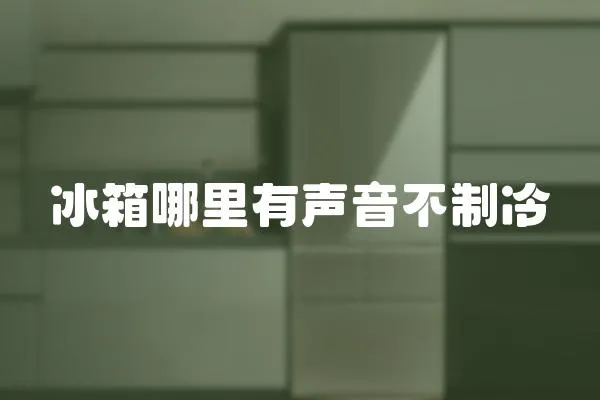 冰箱哪里有聲音不制冷