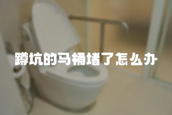 蹲坑的馬桶堵了怎么辦