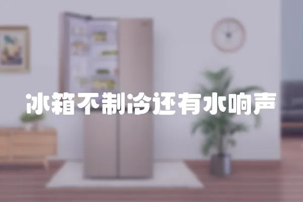 冰箱不制冷還有水響聲