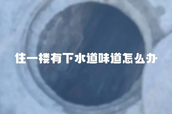 住一樓有下水道味道怎么辦