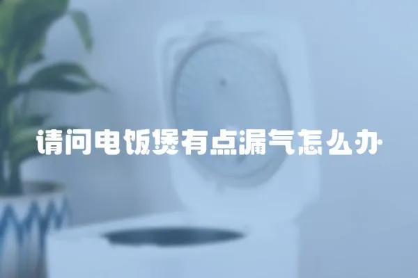 请问电饭煲有点漏气怎么办