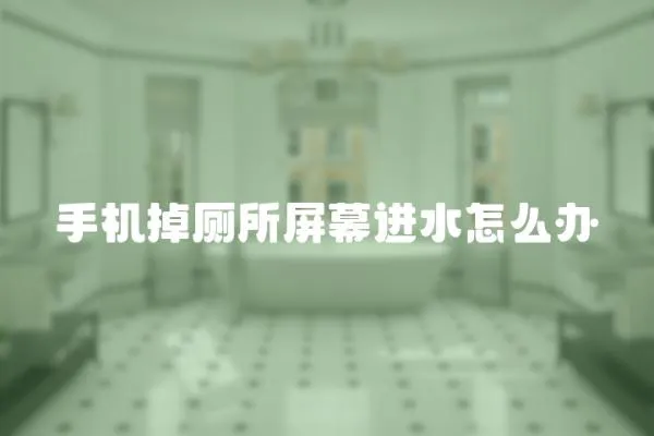 手機(jī)掉廁所屏幕進(jìn)水怎么辦