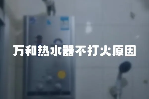 萬和熱水器不打火原因