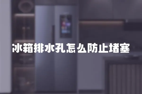 冰箱排水孔怎么防止堵塞