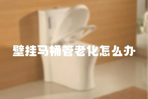 壁掛馬桶管老化怎么辦