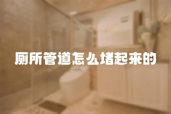 廁所管道怎么堵起來的