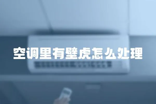 空調里有壁虎怎么處理