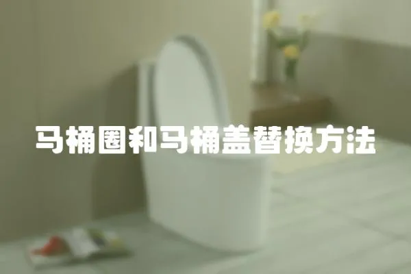 馬桶圈和馬桶蓋替換方法