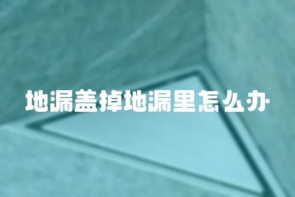 地漏蓋掉地漏里怎么辦