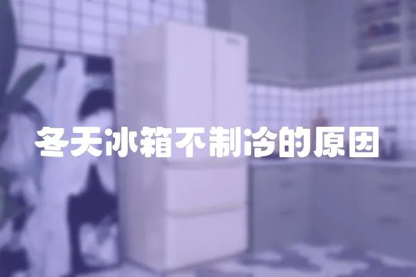 冬天冰箱不制冷的原因
