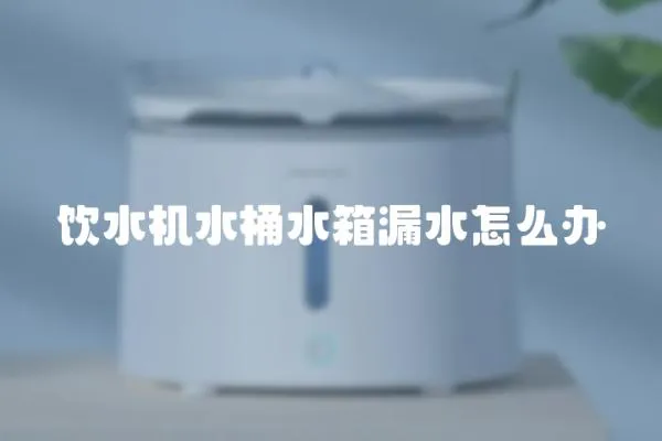 飲水機水桶水箱漏水怎么辦