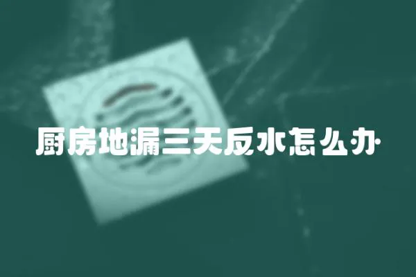 廚房地漏三天反水怎么辦