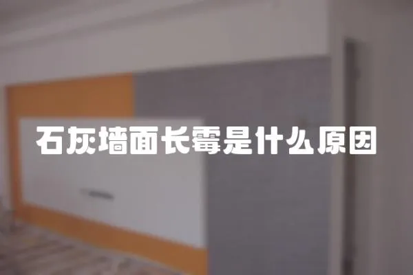 石灰墻面長霉是什么原因