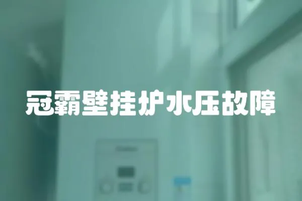 冠霸壁掛爐水壓故障