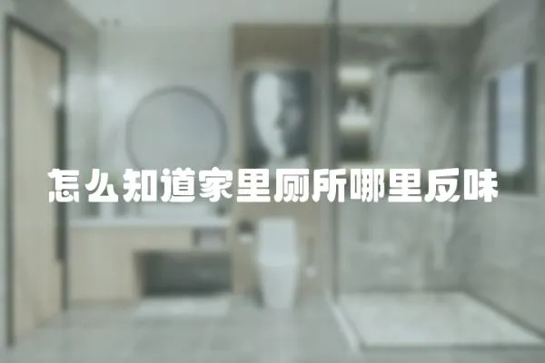 怎么知道家里廁所哪里反味