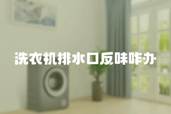 洗衣機排水口反味咋辦