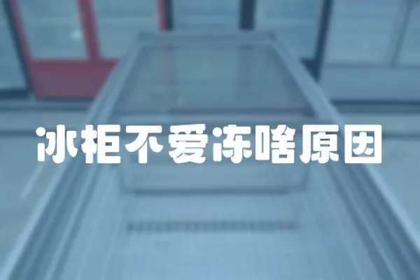 冰柜不愛凍啥原因