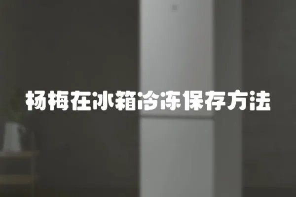 楊梅在冰箱冷凍保存方法