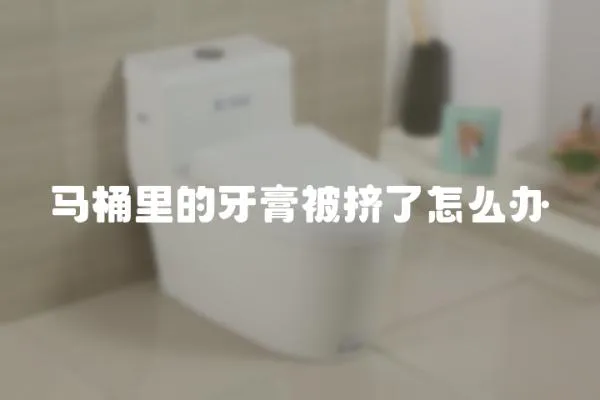 馬桶里的牙膏被擠了怎么辦