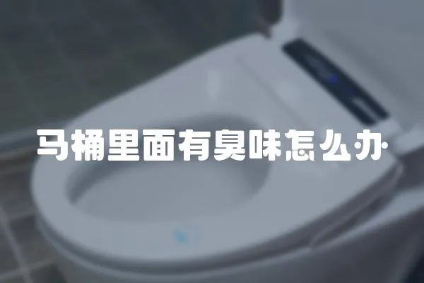 馬桶里面有臭味怎么辦