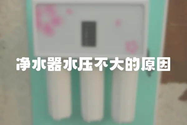 凈水器水壓不大的原因