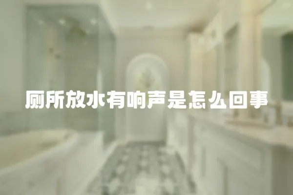 廁所放水有響聲是怎么回事