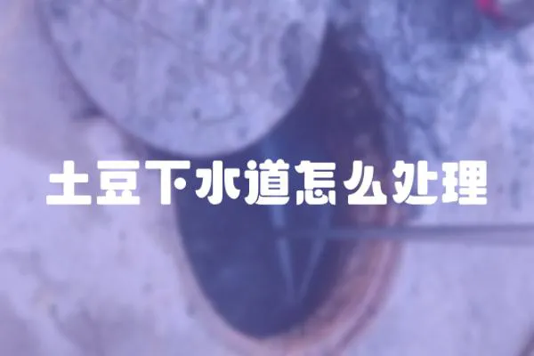 土豆下水道怎么處理