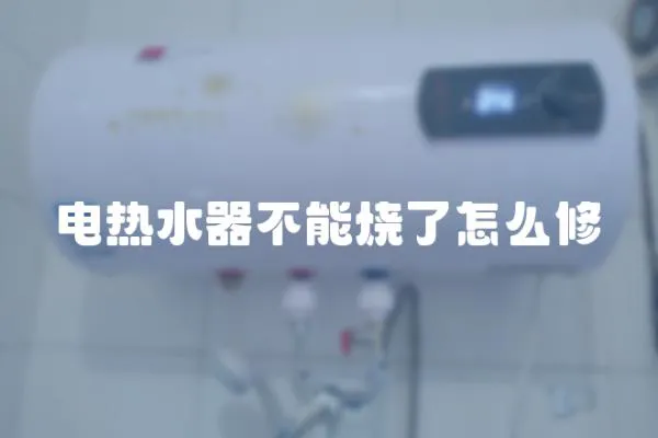 電熱水器不能燒了怎么修