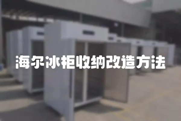 海爾冰柜收納改造方法