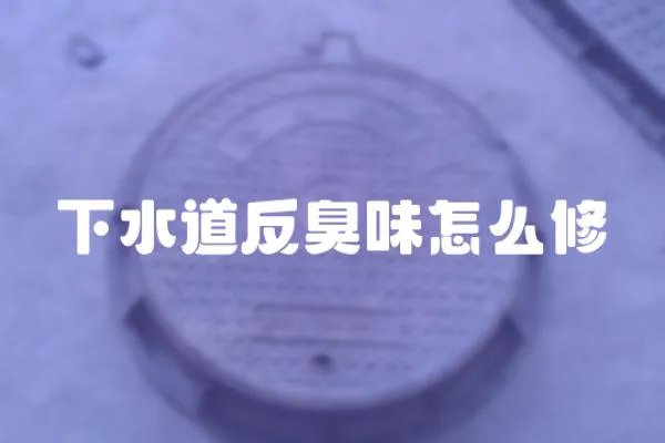 下水道反臭味怎么修