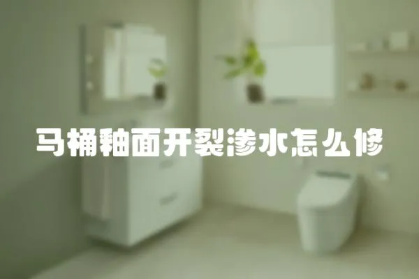 馬桶釉面開裂滲水怎么修