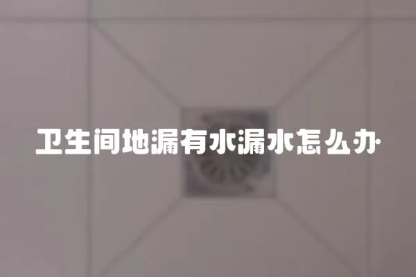 衛生間地漏有水漏水怎么辦