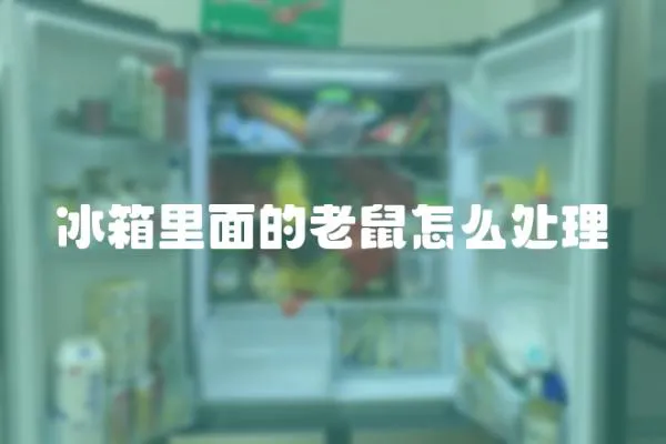 冰箱里面的老鼠怎么處理