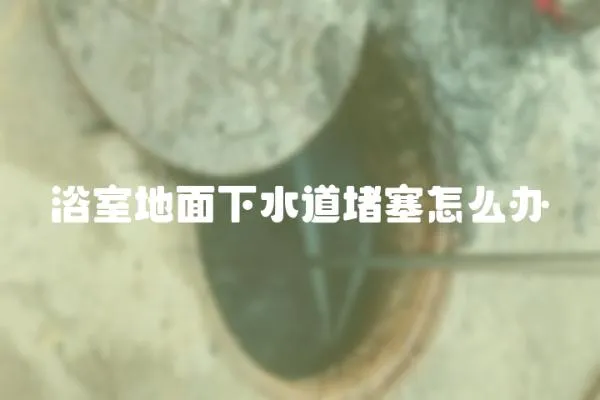浴室地面下水道堵塞怎么辦
