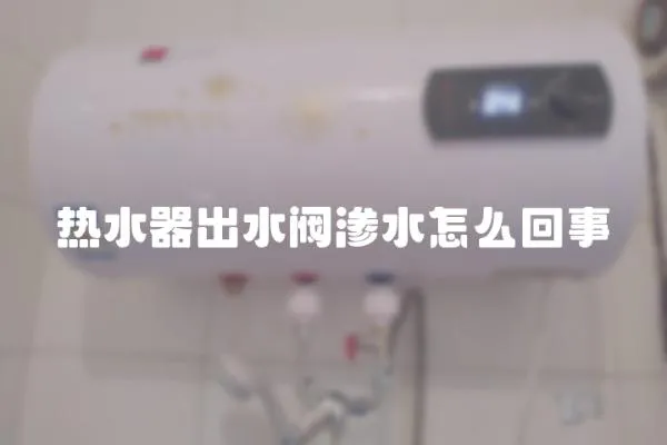 熱水器出水閥滲水怎么回事
