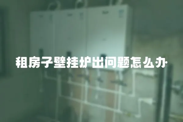 租房子壁掛爐出問題怎么辦