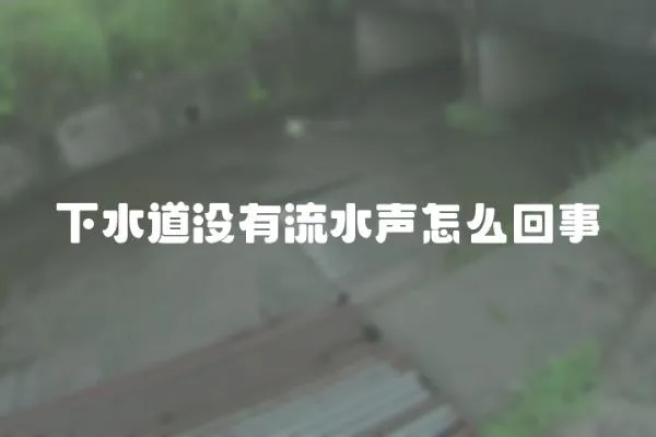下水道沒有流水聲怎么回事