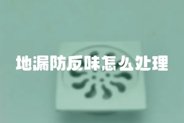 地漏防反味怎么處理