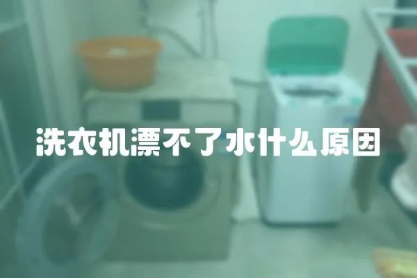 洗衣機(jī)漂不了水什么原因