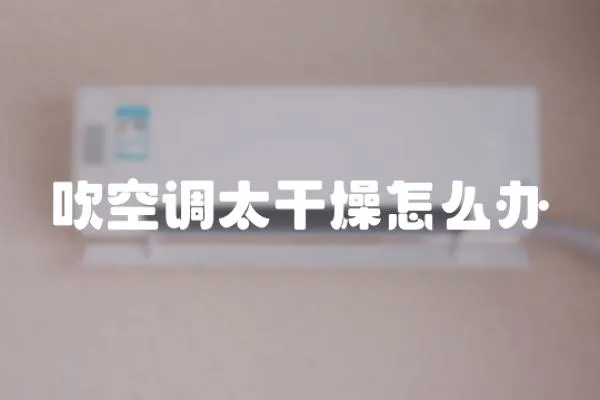 吹空調(diào)太干燥怎么辦
