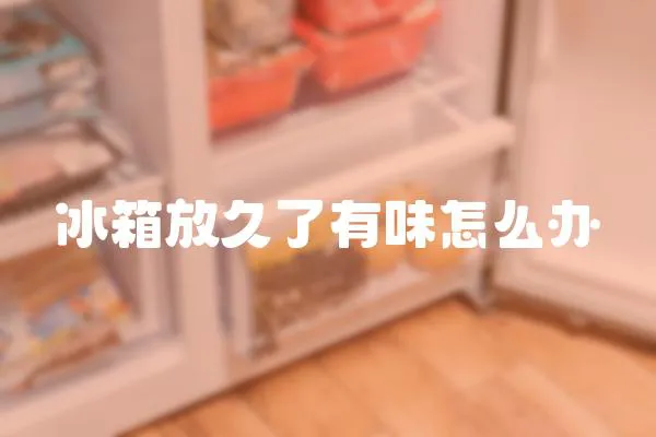 冰箱放久了有味怎么辦
