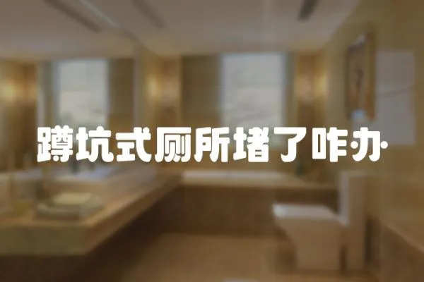 蹲坑式廁所堵了咋辦