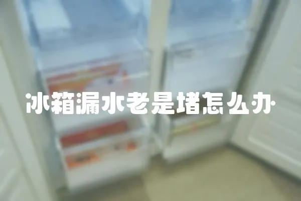 冰箱漏水老是堵怎么辦