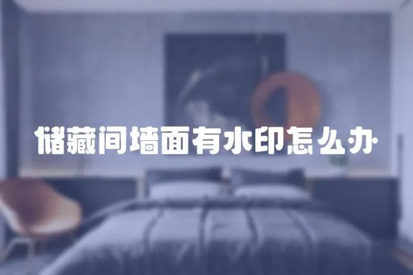 儲(chǔ)藏間墻面有水印怎么辦