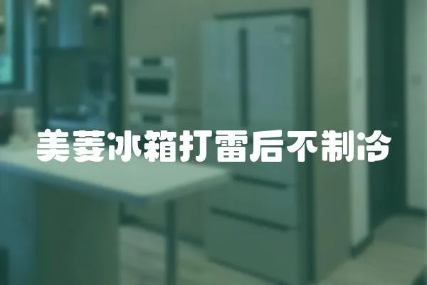 美菱冰箱打雷后不制冷