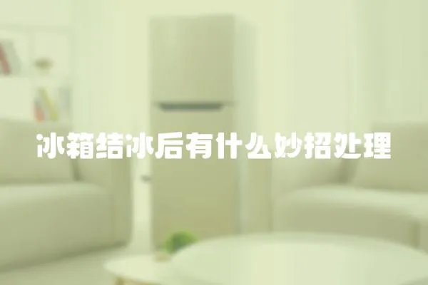 冰箱結冰后有什么妙招處理